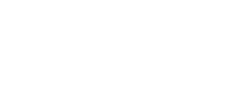 nice-white-logo